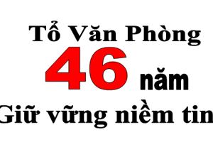 GIỚI THIỆU VỀ TỔ VĂN PHÒNG
